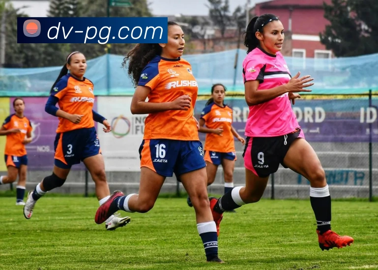 pg模拟器发展历程